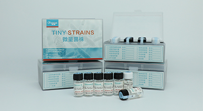 2121非凡·(中国游)体育官方网站